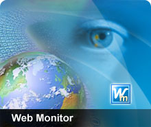Web Monitor icon